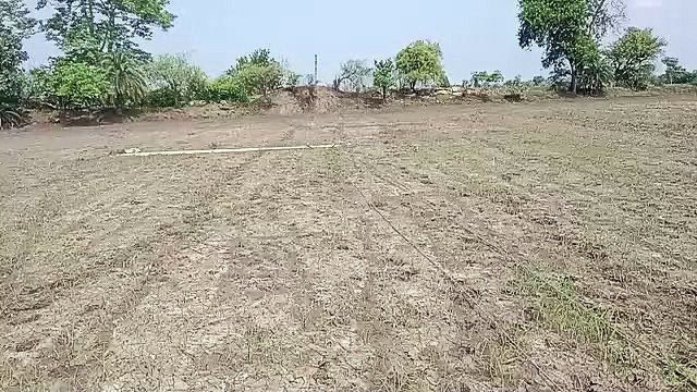 Current spread in the field due to collapsed pole wires, 3 cow died