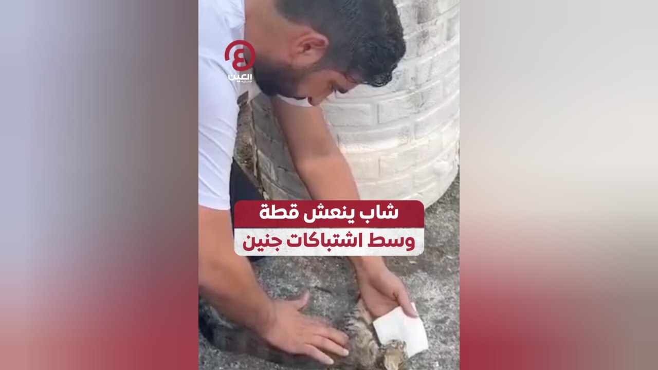 شاب ينعش قطة وسط اشتباكات جنين