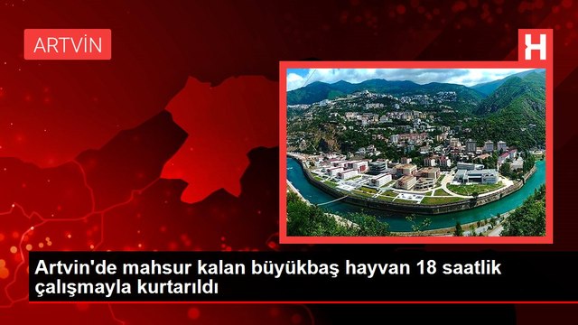Artvin'de mahsur kalan büyükbaş hayvan 18 saatlik çalışmayla kurtarıldı