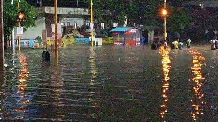 Heavy rains became a disaster in Burhanpur, waterlogging in complex, houses