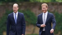Prince William and Prince Harry Just United to Honor Princess Diana