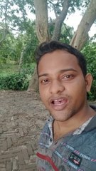 How do I Practice Spoken English