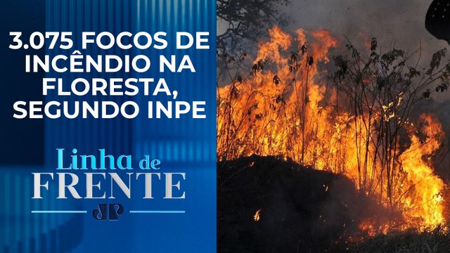 Recorde negativo: Queimadas na Amazônia têm pior junho em 16 anos | LINHA DE FRENTE