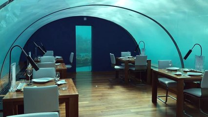Maldives Underwater Restaurant
