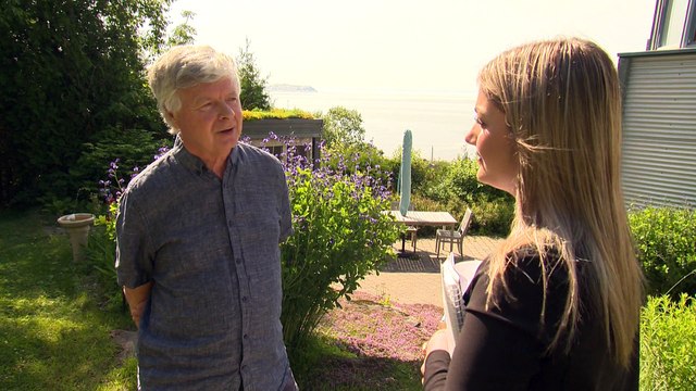 Les cormorans à aigrette en hausse dans la région