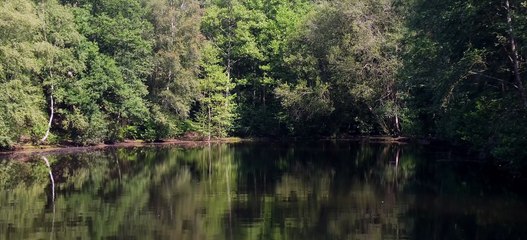 La Secte l’Ordre du Temple Solaire S1 E4 - Le Deuil