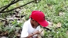 Cacao SLEEVING and PRUNING of Cacao fruit with Kids