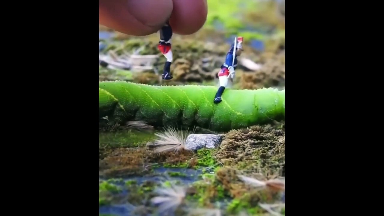 Cute baby animals Videos Compilation cute moment of the animals - Funniest Animals