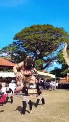 Pencak Silat Bakti Negara Bali