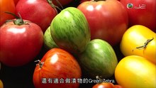 矛盾對戰 第十五集-2013-3-31