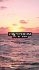 wealthlock_2023-07-05-23-26-00_1688613960194