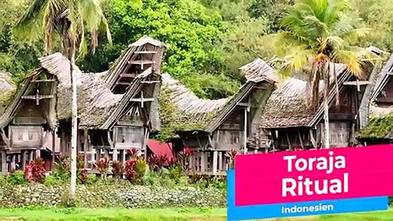 Menschen, die mit Verstorbenen zusammen leben!!