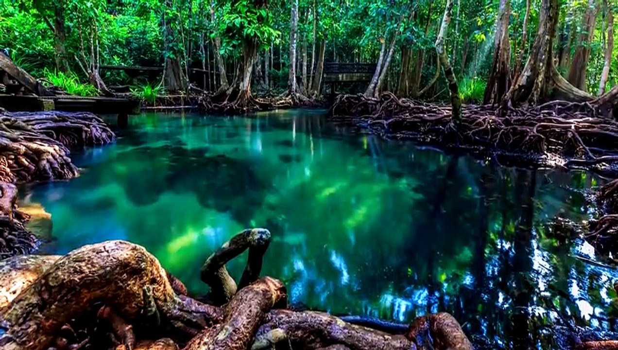 Was Würde Passieren Wenn Spinosaurus Immer Noch Leben Würde