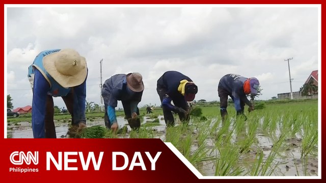 Looking back on Marcos' promises for agriculture sector | New Day