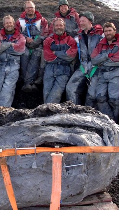 Predator X - Mächtigstes Reptil aller Zeiten