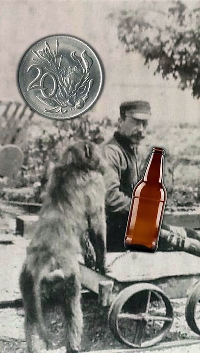 Tiere mit richtigen Berufen Teil 1 - Pavian Streckenwärter