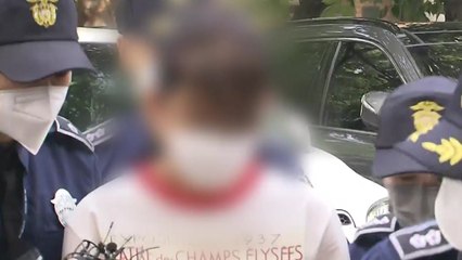 김봉현 탈주 계획 도운 친누나 구속영장 심사..."성공하면 20억 약속" / YTN