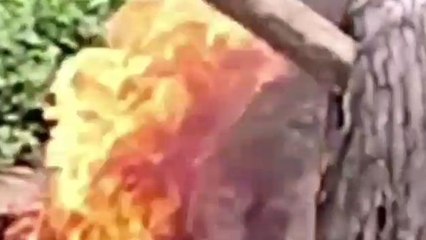 रेवदरःसोलर बैटरी में हुआ विस्फोट,हो गया ये हादसा,देखें आप भी