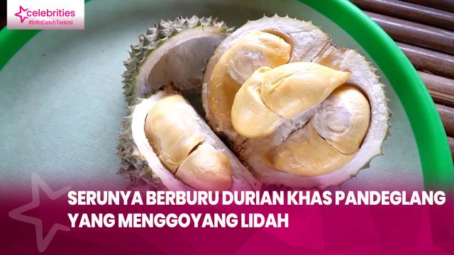 Serunya Berburu Durian Khas Pandeglang yang Menggoyang Lidah