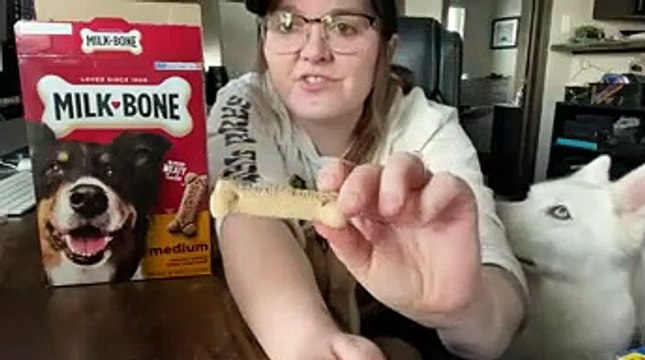 Milk-Bone Original Dog Biscuits, Medium Crunchy Dog Treats, 10 lbs. - Pet Snack Treats - Pet Supplies