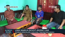 Lima Warga Digigit Anjing Liar di Kabupaten Gowa, Satu dari lima korban merupakan balita