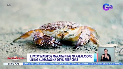 Isa, patay matapos makakain ng nakalalasong uri ng alimasag na devil reef crab | BT