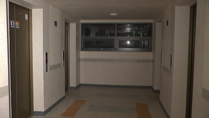 대낮 엘리베이터 폭행 20대 구속영장..."성폭행 의도" / YTN