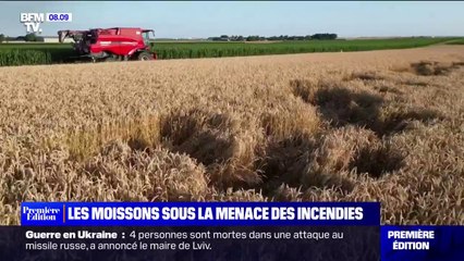 La période des moissons sous la menace des incendies