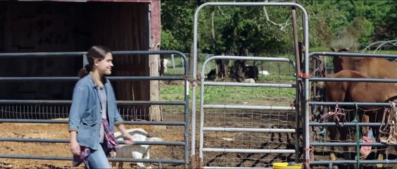 Mein Einhorn Sparkle Trailer – Magischer Spaß für die ganze Familie ✨ - thumbnail