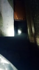 पांच घंटे की मशक्कत के बाद पकड़ में आया तेंदुआ