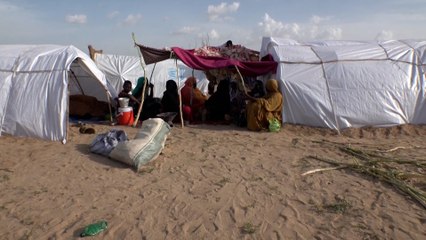 لاجئون سودانيون يروون للجزيرة محنتهم قبل الوصول إلى تشاد