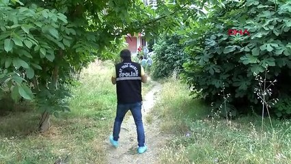 ATAŞEHİR'DE KÖPEĞİN SALDIRDIĞI KADIN AĞIR YARALANDI