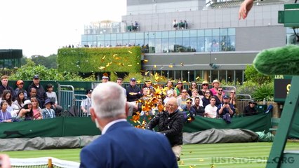 Just Stop Oil protesters interrupt Wimbledon
