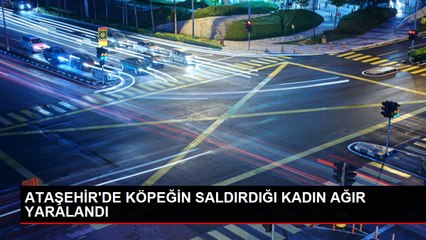 ATAŞEHİR'DE KÖPEĞİN SALDIRDIĞI KADIN AĞIR YARALANDI