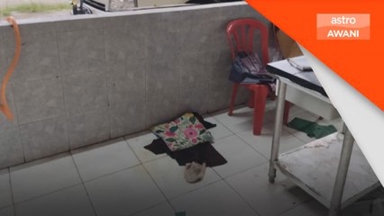 Bayi perempuan cukup sifat ditemukan di kedai jual ayam