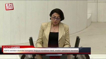 HDP'li vekilden skandal konuşma: Doğuya kürdistan dedi, maden sahalarını karaladı