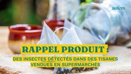 Rappel produit : des insectes détectés dans des tisanes vendues en supermarché