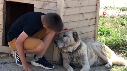 Havalar Isındı, Kangallar Bunalıma Girmeye Başladı