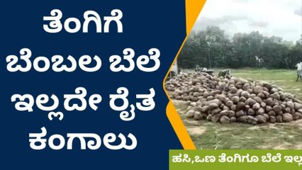 ಇತ್ತ ಕೊಬ್ಬರಿ ಬೆಲೆಯೂ ಇಲ್ಲ, ಅತ್ತ ತೆಂಗಿಗೂ ಬೆಲೆ ಇಲ್ಲ-ಇದು ರೈತನ ಅಳಲು