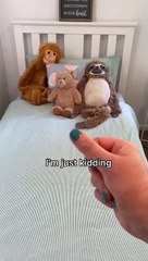 Cada cuánto tiempo se debe cambiar las sábanas