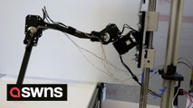 Engineers using giant six-legged robotic fly to developing quicker AI
