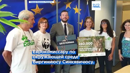 Еврокомиссию просят защитить национальный парк Доньяна в Испании