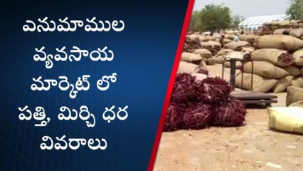 వరంగల్ : ఎర్ర బంగారానికి పెరుగుతున్న ధరలు
