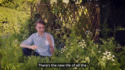 Ollie Pike- Psalm 27 becomes a garden at RHS Young Designer of the Year competition