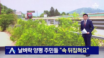 고속도로 백지화에…날벼락 양평 주민들 “속 뒤집혀요”