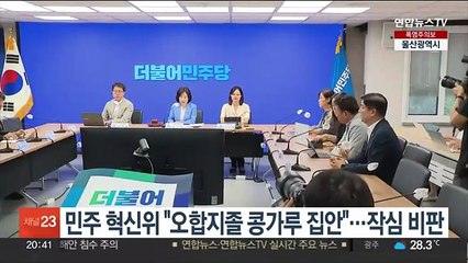 민주 혁신위 "오합지졸 콩가루 집안"…작심 비판