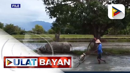 PBBM, nakatakdang pirmahan bukas ang New Agrarian Emancipation Act