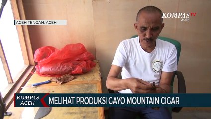 Cerutu Gayo Mountain Cigar Tembus Pasar Internasional