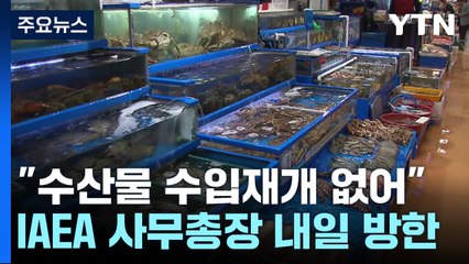 정부 '日 오염수 방류' 최종 검토보고서 내일 발표..."日에 제안도 담겨" / YTN