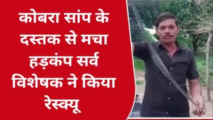 विजयराघवगढ: घर में घुसा कोबरा सांप,मचा हडकम्प